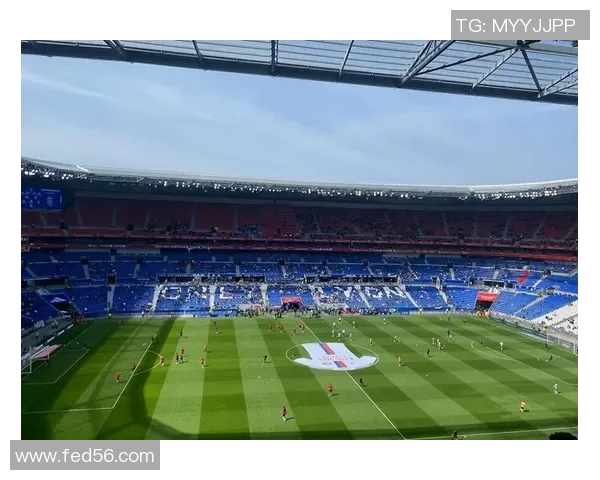 法国足球明星内的辉煌历程与成就解析，带你走进绿茵场上的传奇故事